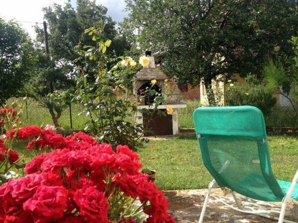Apartment Basic Pula